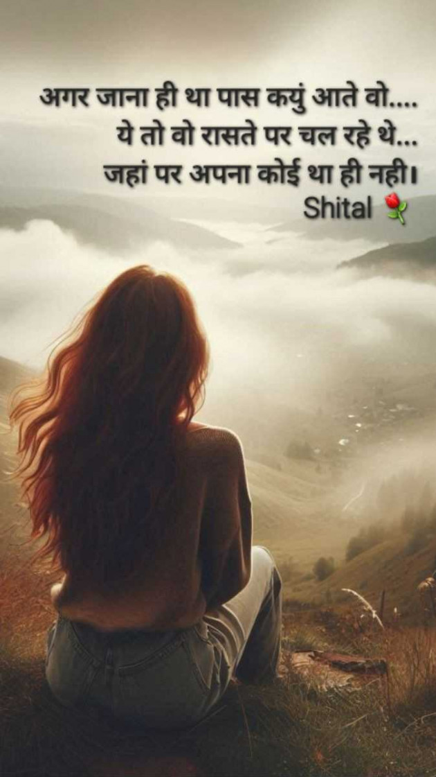 Gujarati Shayri by Shital : 111962896