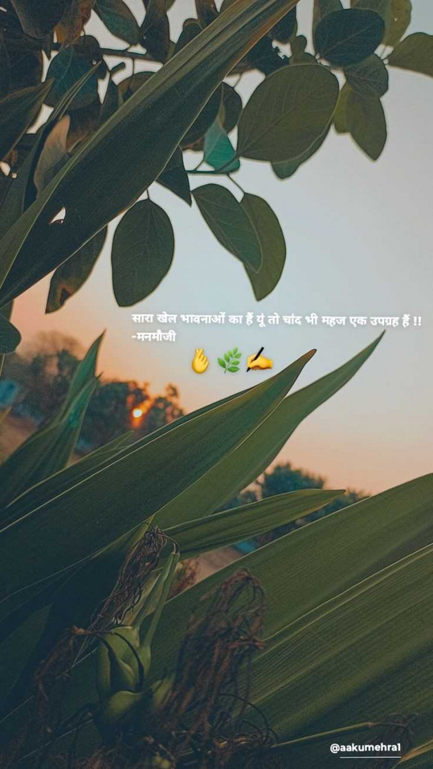 Hindi Shayri by pooja : 111963068