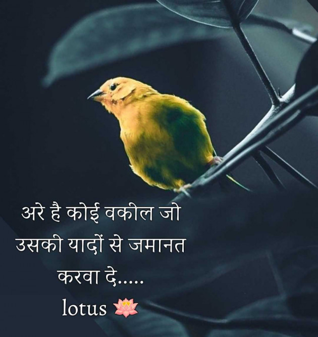 Hindi Quotes by LOTUS : 111963257