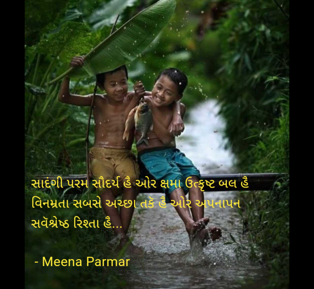 Gujarati Whatsapp-Status by Meena Parmar : 111963258