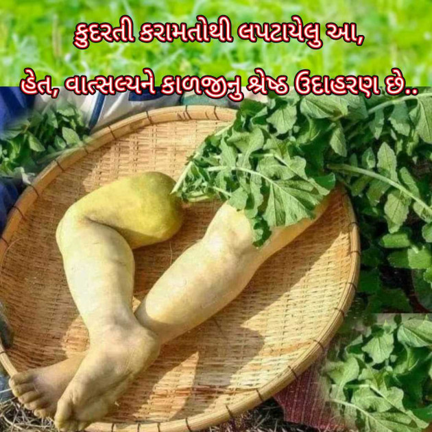 Gujarati Blog by Bhavna Bhatt : 111963322