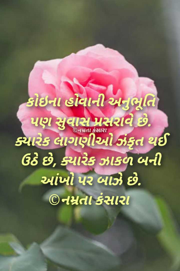 Gujarati Quotes by Namrata Kansara : 111963689