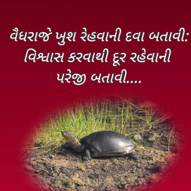 Gujarati Blog by Bhavna Bhatt : 111963792