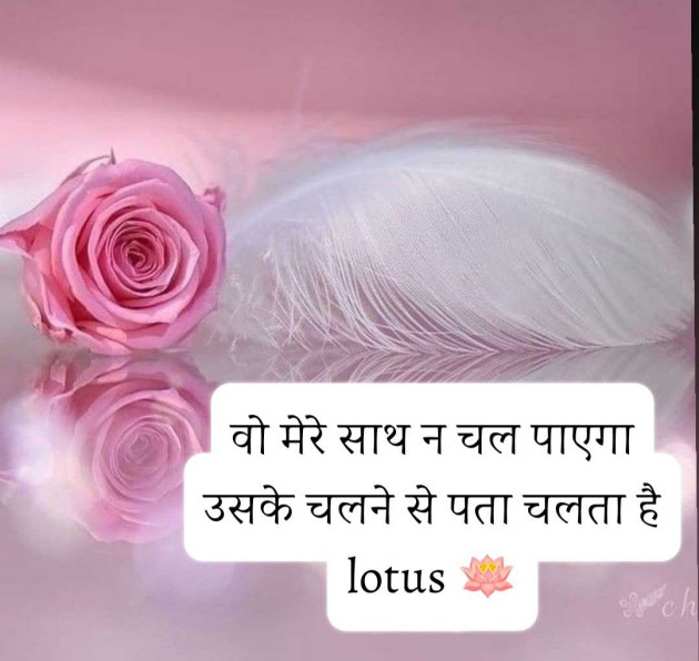 English Quotes by LOTUS : 111963956