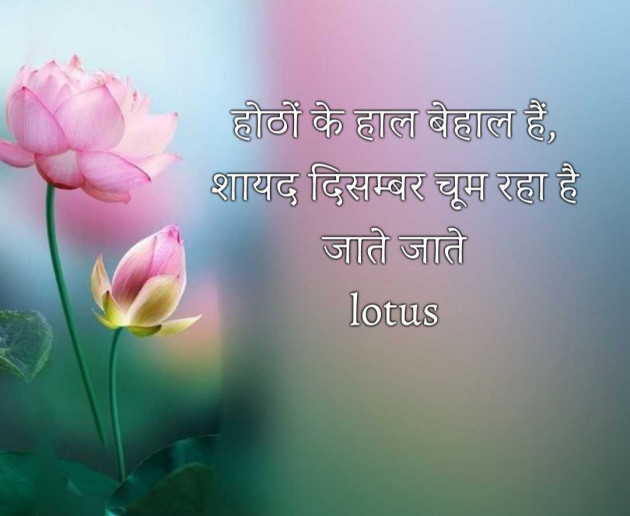 Hindi Quotes by LOTUS : 111964011