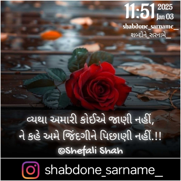 Gujarati Whatsapp-Status by Shefali : 111964414