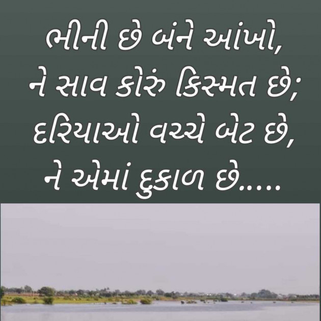 Gujarati Blog by Bhavna Bhatt : 111964656