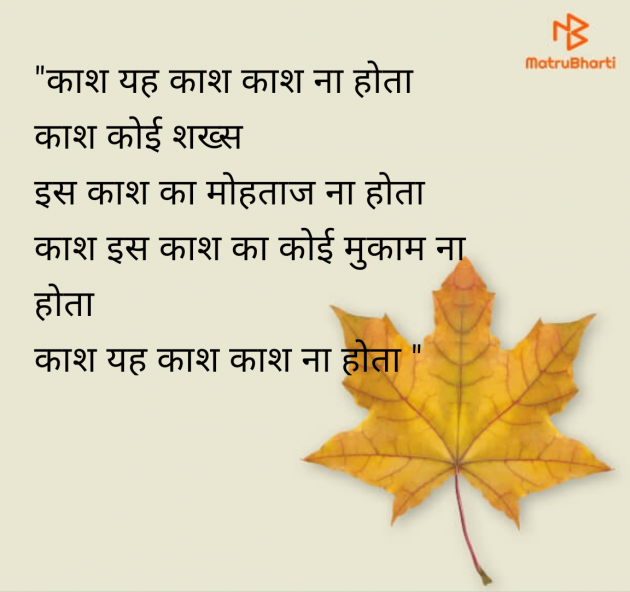 Hindi Shayri by Chauhan nikita r : 111964665