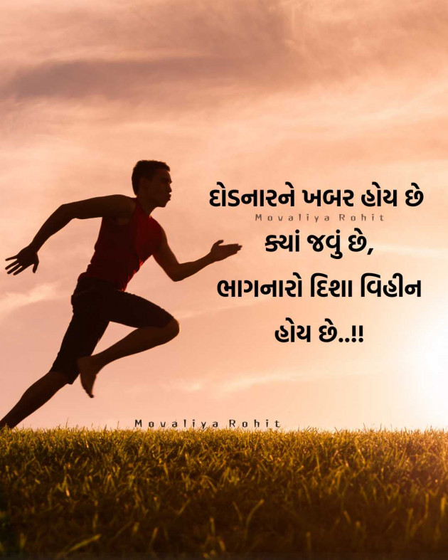 Gujarati Motivational by Rohitkumar Movaliya : 111964694