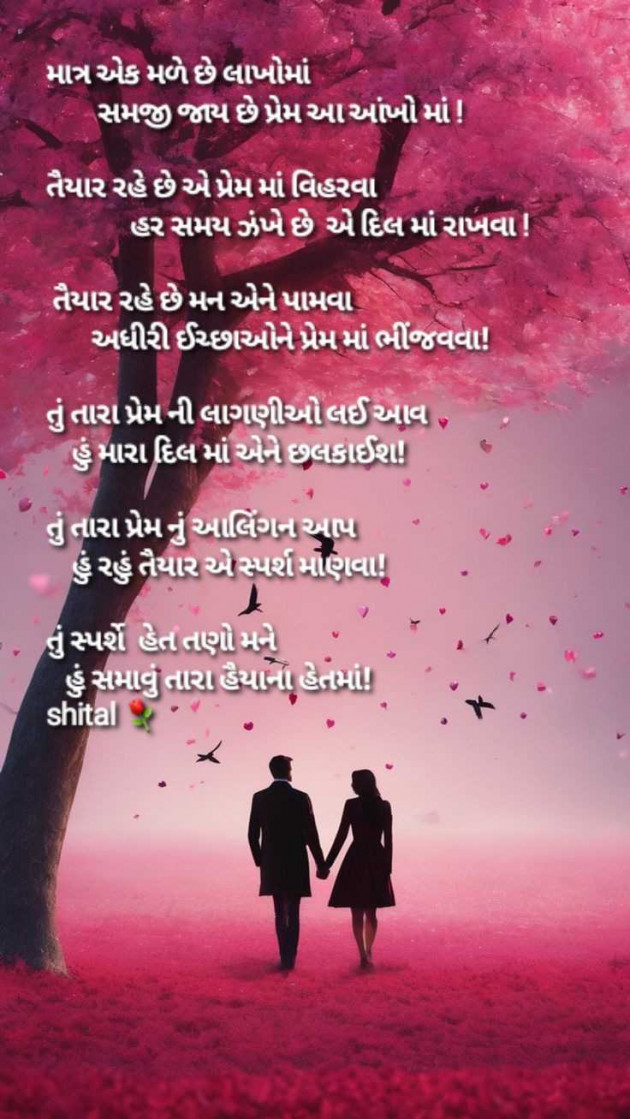 Gujarati Shayri by Shital : 111964955