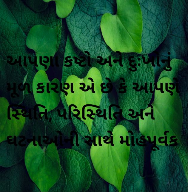 Gujarati Motivational by Megha : 111965018