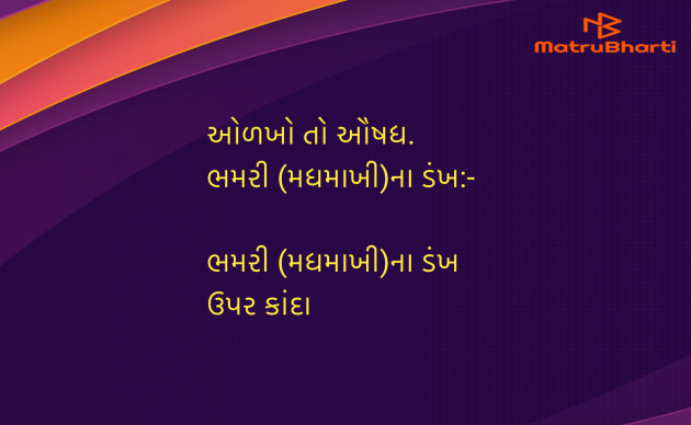 Gujarati Blog by Umakant : 111965154