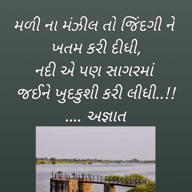 Gujarati Blog by Bhavna Bhatt : 111965913