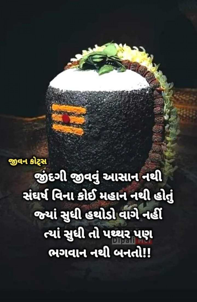 Gujarati Whatsapp-Status by jighnasa solanki : 111966253