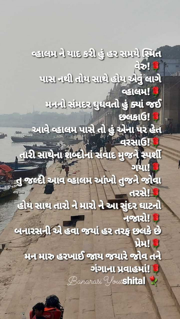 Gujarati Shayri by Shital : 111966264