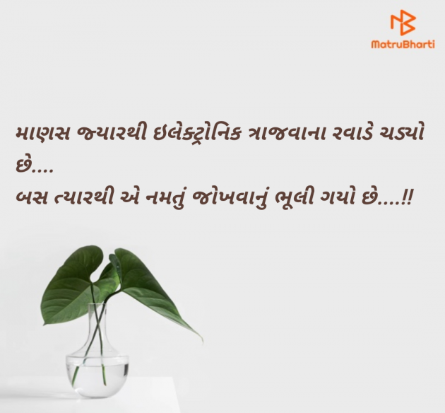 Gujarati Whatsapp-Status by B     Gov Of Guj : 111966502