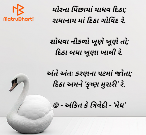 Post by Ankit K Trivedi - મેઘ on 24-Jan-2025 10:58pm