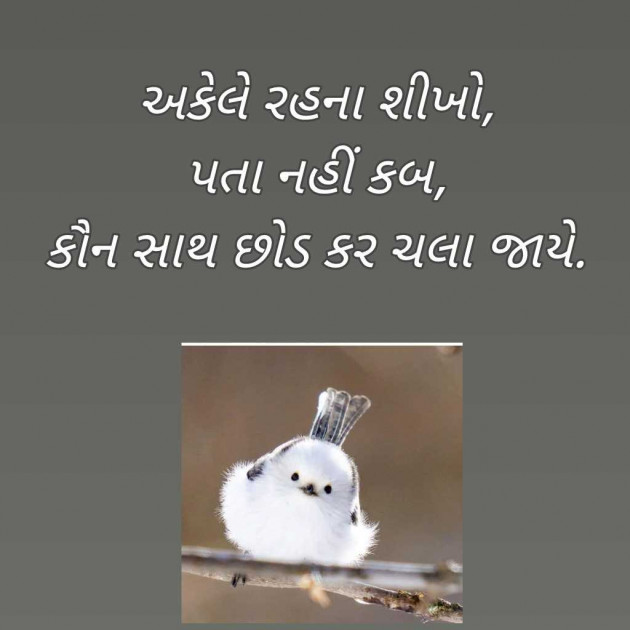 Gujarati Blog by Bhavna Bhatt : 111966971