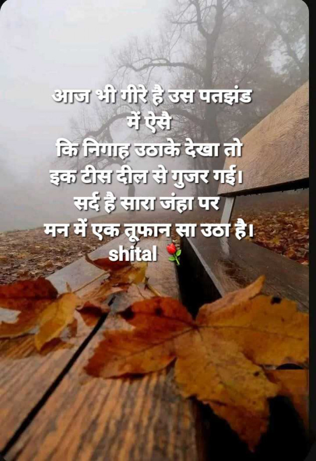 Gujarati Shayri by Shital : 111966978