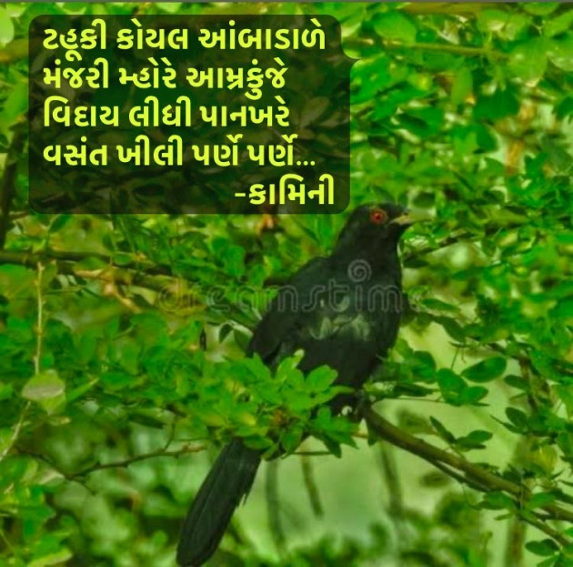 Gujarati Poem by Kamini Shah : 111967421