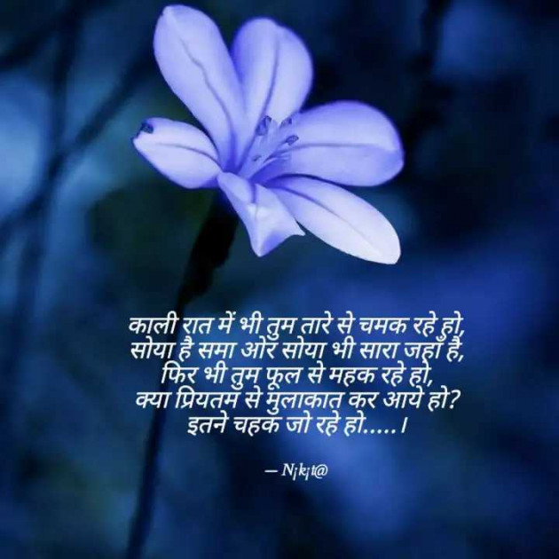 Hindi Shayri by N¡k¡t@ : 111967572