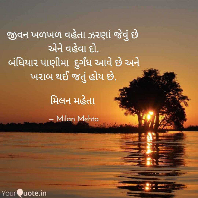 Gujarati Whatsapp-Status by Milan Mehta : 111967585