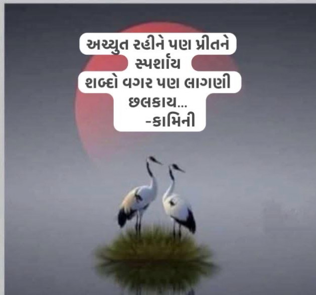 Gujarati Poem by Kamini Shah : 111967833