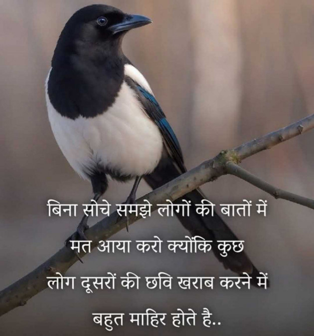 Hindi Quotes by N¡k¡t@ : 111967871