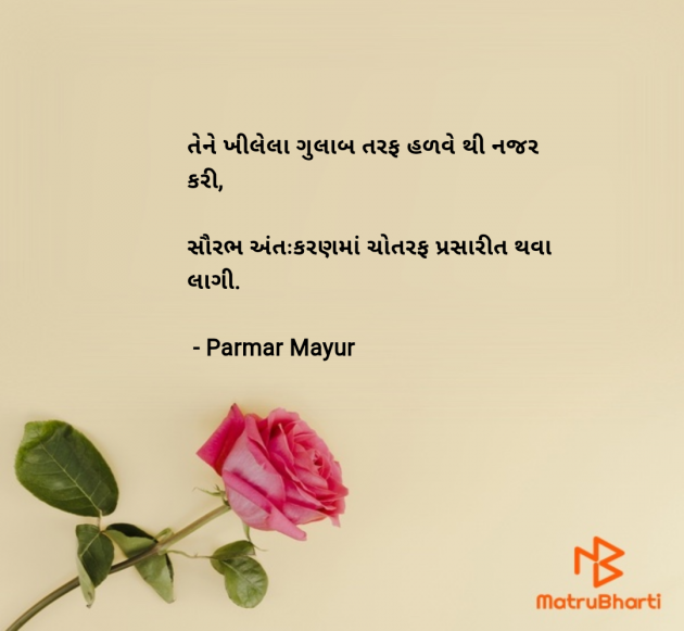 Gujarati Romance by Parmar Mayur : 111968080