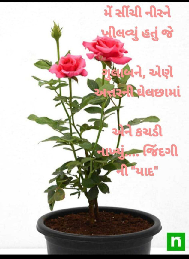 Gujarati Poem by Ajit : 111968083