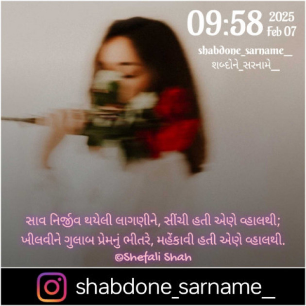 Gujarati Whatsapp-Status by Shefali : 111968055