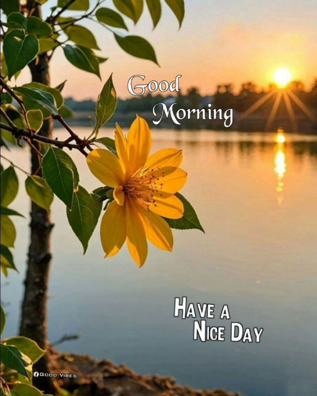 English Good Morning by Dr. Bhairavsinh Raol : 111968164