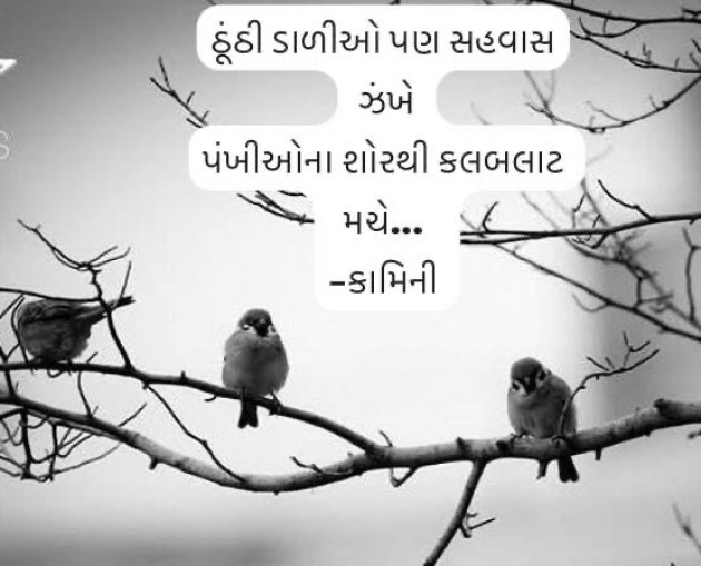 Gujarati Poem by Kamini Shah : 111968194