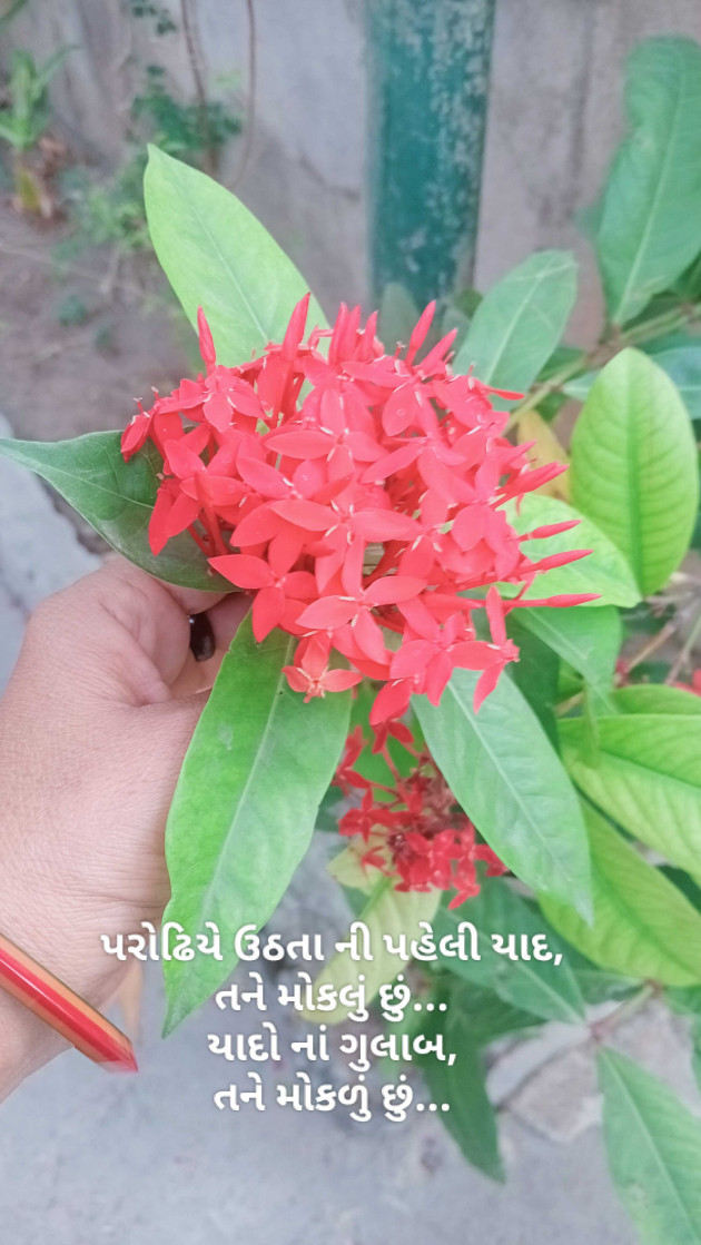 Gujarati Shayri by Mrs Farida Desar foram : 111968273