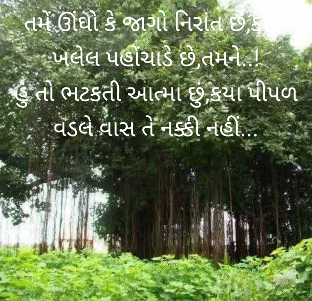 Gujarati Shayri by वात्सल्य : 111968663