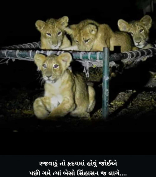 Post by Sarvaiya Raa on 13-Feb-2025 04:29pm