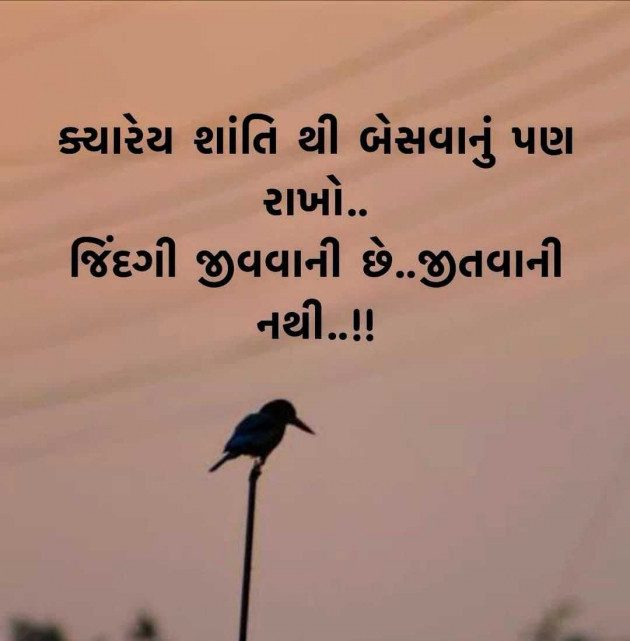 Gujarati Good Night by Rinky : 111969124