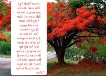 kamini6601
