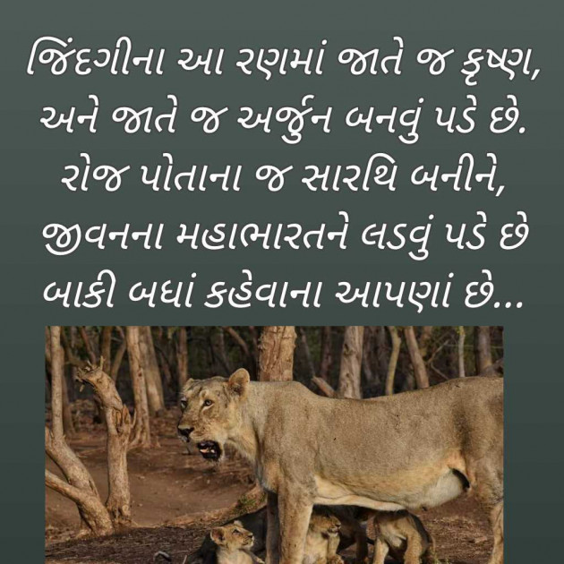 Gujarati Blog by Bhavna Bhatt : 111969355