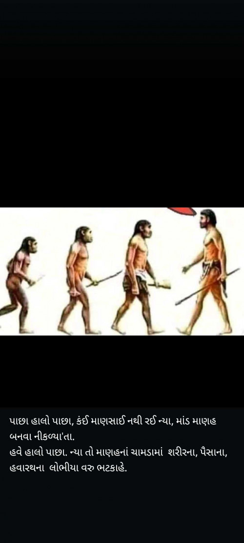 Post by Tr.Anita Patel on 19-Feb-2025 08:25pm