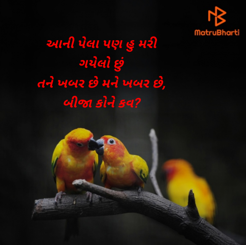 Post by Sonu dholiya on 23-Feb-2025 11:32am