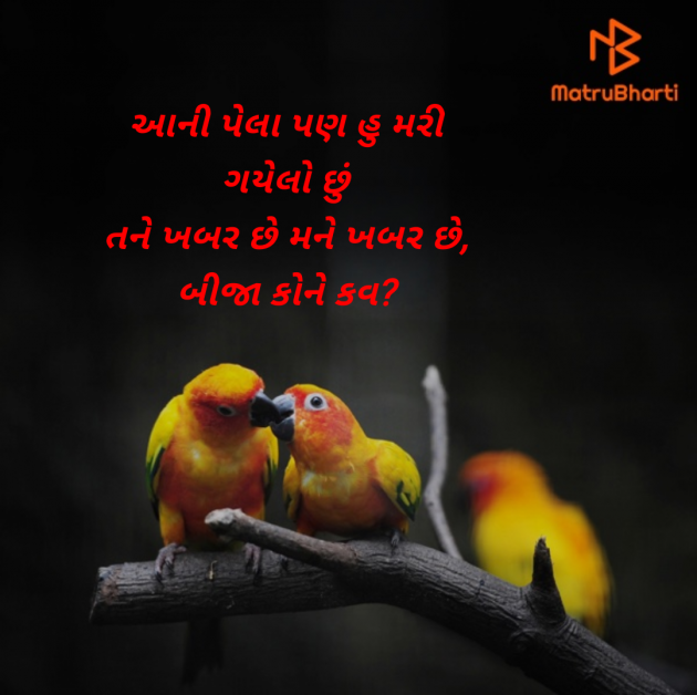 Gujarati Quotes by Sonu dholiya : 111969726