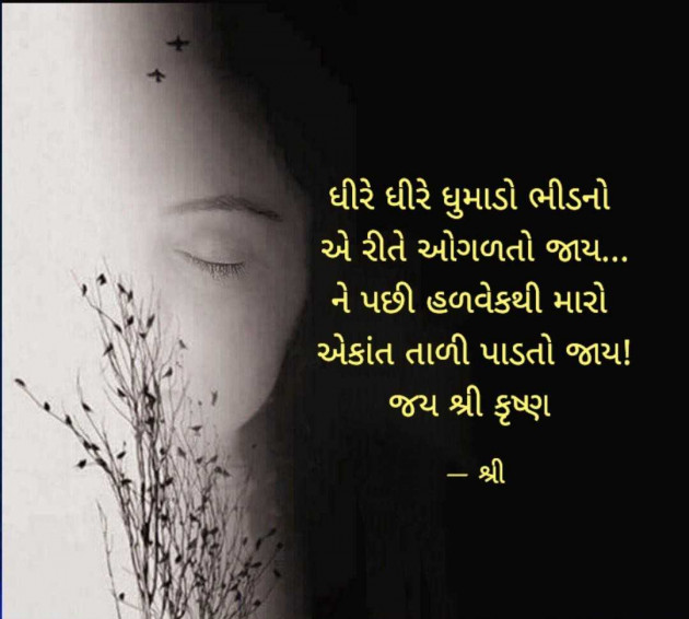 Gujarati Whatsapp-Status by Gor Dimpal Manish : 111969897