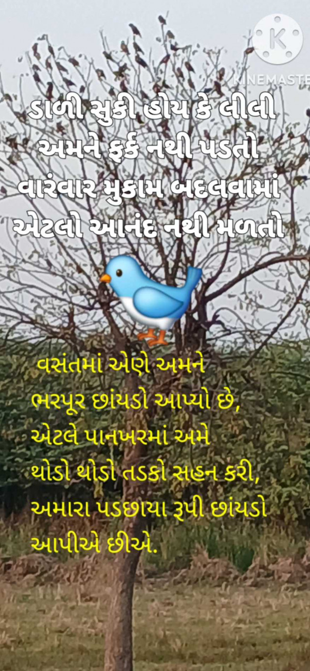 Gujarati Quotes by Shailesh Joshi : 111969957