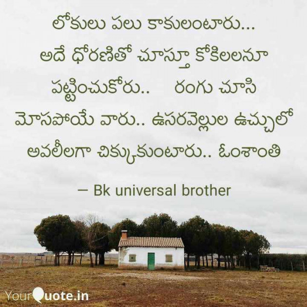 Telugu Quotes by Bk swan and lotus translators : 111970353