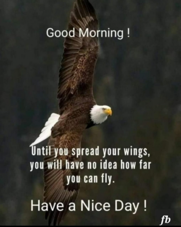 English Motivational by Dr. Bhairavsinh Raol : 111970388