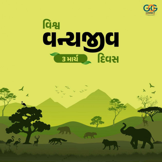 Gujarati Blog by Umesh Donga : 111970582