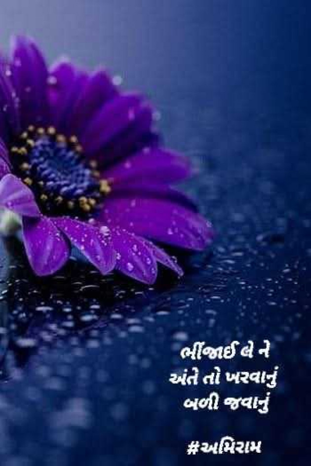 Gujarati Poem by Amita : 111970659