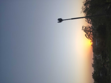 thakorpushpabensorabji9973