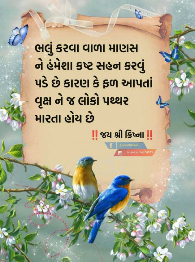 Gujarati Motivational by Manish Patel : 111971277